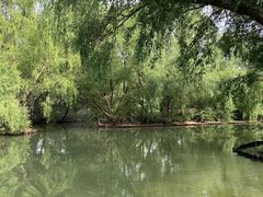 -大湾区中央湿地公园
