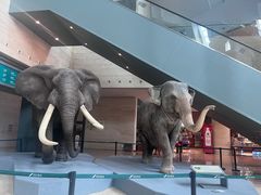 -重庆自然博物馆(新馆)