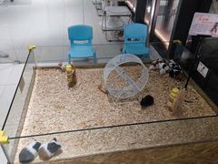 -怪兽屋·羊驼·猫咖·狗咖(俊华广场店)