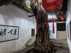-尧坝古镇