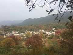 -塔川景区