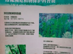 -石家庄市植物园