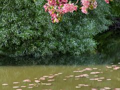 -沈阳植物园