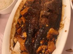 红烧豆腐烩黄鱼-玲珑餐厅(陕西南路店)