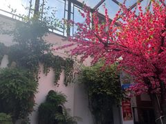 -丽江庭院之爱在路上(西单店)