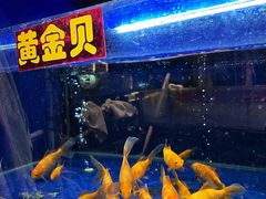 黄金贝-肥仔文澳门猪骨煲(南京西路店)
