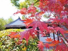 -莫愁湖公园