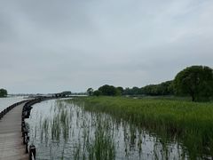 -苏州太湖湖滨国家湿地公园