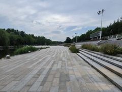 -大兴滨河森林公园