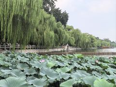 -济南大明湖景区