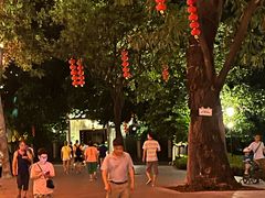 -荔湾湖公园