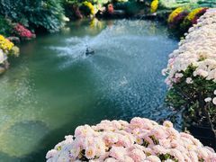 -杭州植物园