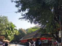 -西双版纳傣族园