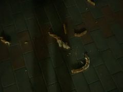 -星巴克(北京通州新光大中心店)