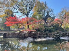 -八珍手工水饺·妈妈的爱(传芳巷店)