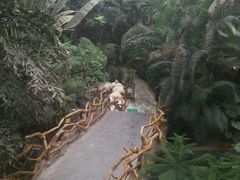 -龙达温泉生态城