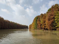 -上海海湾国家森林公园