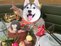 -杜哈夫DOUX RÊVE·生日蛋糕(日月光店)
