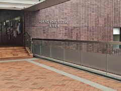 -香港大学