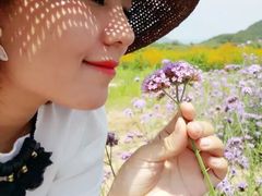 -北京东方普罗旺斯薰衣草庄园