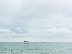 android_upload_pic-三亚亚龙湾红树林度假酒店