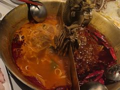 -小龙翻大江文化火锅(宽窄店)