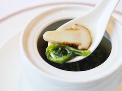 -苏浙总会(国金中心店)