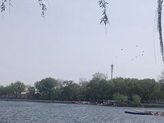 -什刹海