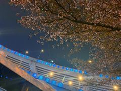 -上海南浦大桥长途旅游客运站
