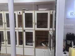 -爱洗澡的猫(天河路店)