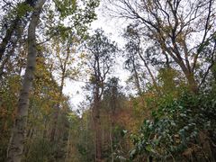 -青龙山国家森林公园