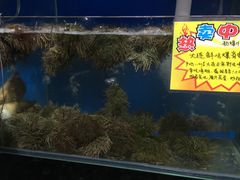 -蚝专家(北滘店)