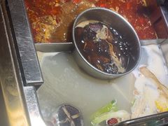 -蜀九鼎毛肚火锅(惠安店)