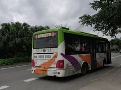 -红色娘子军纪念园