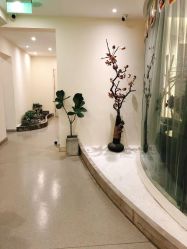 -康颜SPA自然疗愈皮肤管理中心