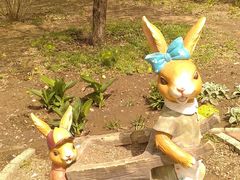 -国家植物园南园