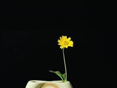 -澳珀食堂