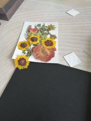 -馨月汇·一悦馨香月子中心(前滩店)