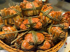 -蟹村草堂·苏式园林人文农家·大闸蟹