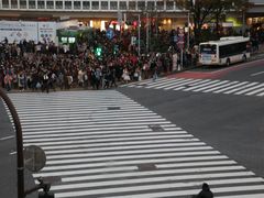 -涩谷全向十字路口