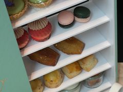 -新加坡乌节希尔顿酒店 (SG Clean)