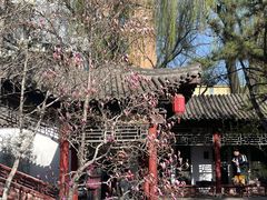 -碑林公园