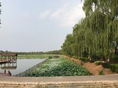 -白洋淀景区