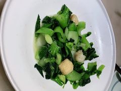 -東大方(安吉灵芝店)