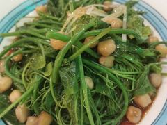丝瓜尖-巴依老爷新疆美食(马驹桥店)