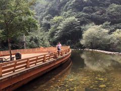 -少华山国家森林公园