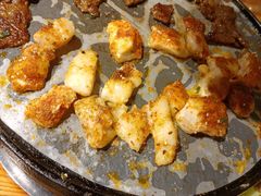 -胖记烤肉(湖大店)
