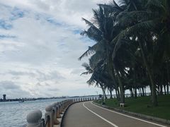 -霞山观海长廊