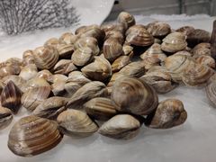 -韩盛炭火烤肉(万达广场店)