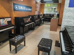 -海音琴行雅马哈钢琴·海伦·施特劳斯(金沙店)